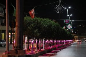 نصب چراغهای تزئینی بلوار اصلی خیابان آزادی مسجدسلیمان + تصاویر