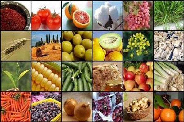 لزوم تبلیغات برای جذب سرمایه گذاری در بخش کشاورزی