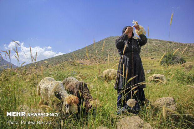 افزایش ۱۳ درصدی شاخص برخورداری عشایر از آب بهداشتی و سالم