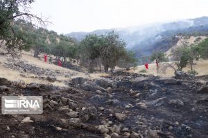 ۷۰ هکتار از مراتع منطقه حفاظت شده شیمبار اندیکا خاکستر شد