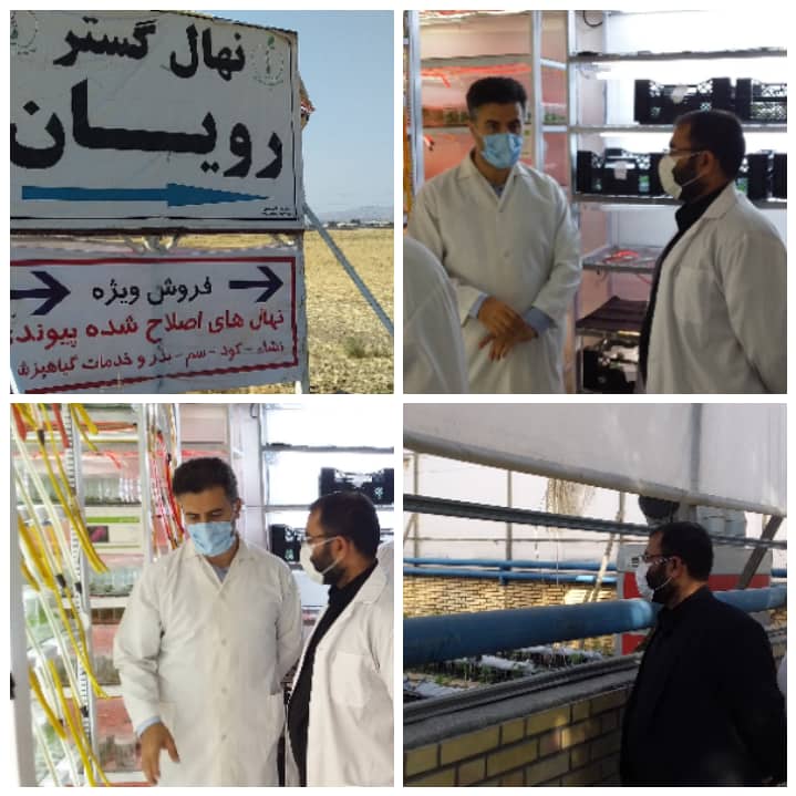بازدید نماینده شهرستان آبادان به منظور بررسی امکان تاسیس و راه اندازی شرکت کشت و تکثیر پاچوش نخل به صورت کشت بافت