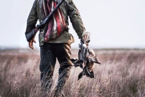 ۱۸۰ متخلف شکار غیر مجاز در فارس دستگیر شدند