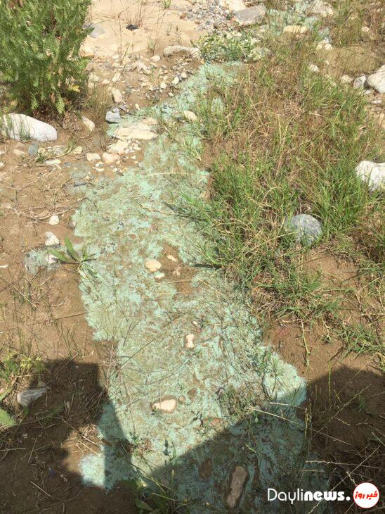 تصویری عجیب از رنگ سبز رودخانه ای در جنگل های قره داغ ورزقان آذربایجان شرقی