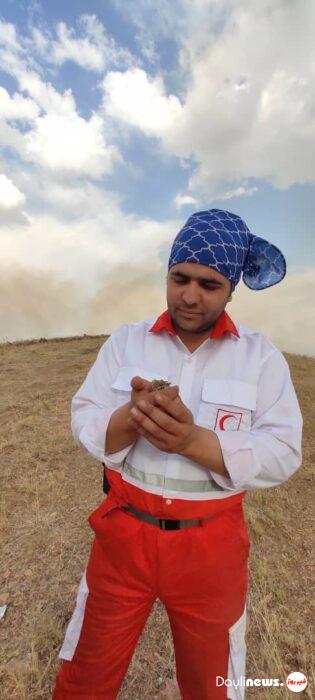 نجات جان گنجشگ در حواشی آتشسوزی روستای سیوان شهرستان مرند