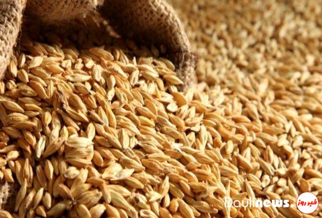 بازگشت ۹۵ میلیارد تومان پول گندم به بیت المال