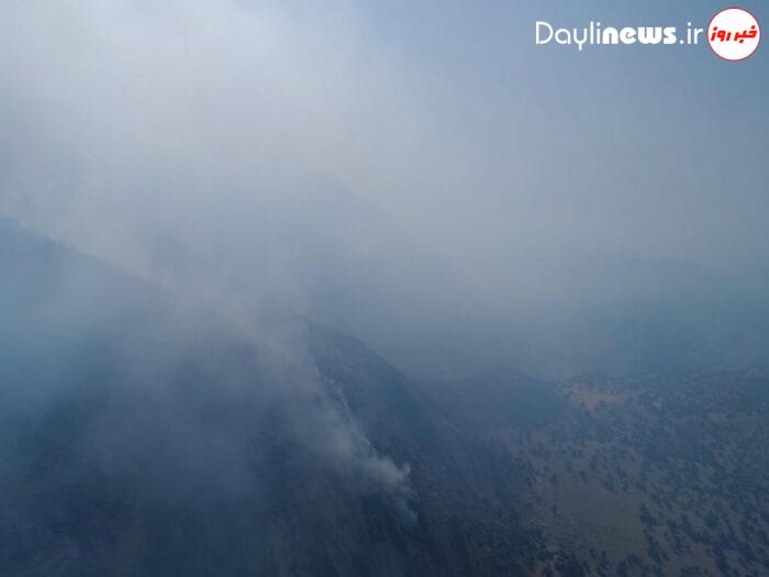 عاملان آتش‌سوزی ارتفاعات جنگلی شهرستان اقلید به دام افتادند