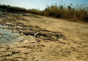 واریز ۵۰ درصد اعتبار مصوب دولت در خصوص رفع مشکلات آبی خوزستان