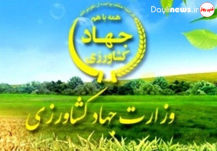 بخش کشاورزی خوزستان نیازمند برنامه ویژه برای خروج از بن بست است/ طرح ۵۵۰ هزار هکتاری جدی گرفته شود