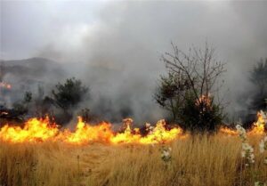 آتش سوزی در اراضی جنگلی سردشت آذربایجان غربی