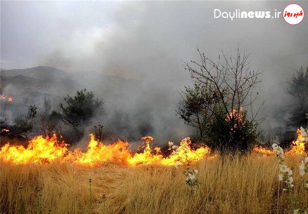 آتش سوزی در اراضی جنگلی سردشت آذربایجان غربی