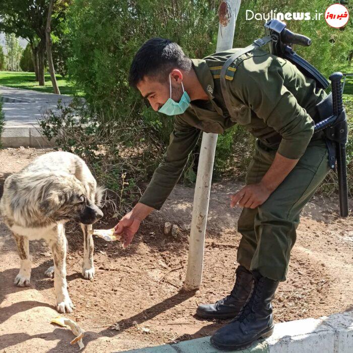 یک سرباز پلیس در تبریز صبحانه خود را با سگ ها تقسیم می کند