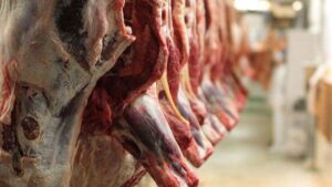 فروش لاشه گوسفند غیربهداشتی توسط قصاب مسجدسلیمانی / او مهر دامپزشکی را جعل می کرد