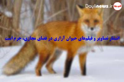 دستگیری متخلف شکار غیرمجاز در پی انتشار فیلم آن در فضای مجازی