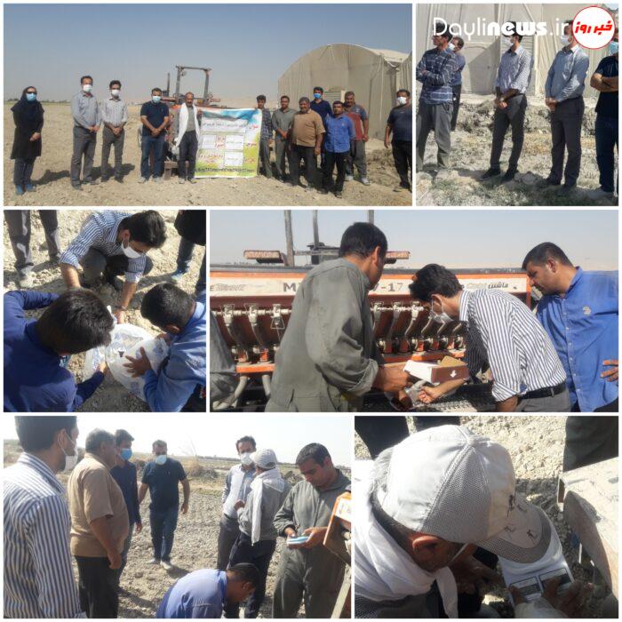 اجرای کارگاههای کالیبراسیون دستگاههای کارنده محصولات کشاورزی در رامهرمز