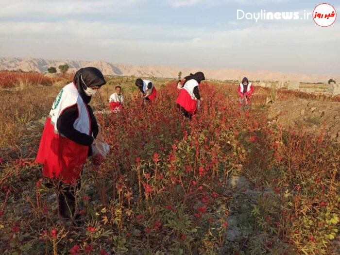 اعزام کاروان نیکوکاری به مناسبت روز جهانی داوطلب به مزارع کشاورزی در رامهرمز
