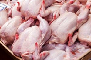 توزیع مرغ کشتار روز طرح تنظیم بازار در شهرستان مسجدسلیمان