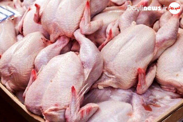 توزیع مرغ کشتار روز طرح تنظیم بازار در شهرستان مسجدسلیمان