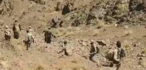 دستگیری ۷ نفراز شکارچیان غیر مجاز در شهرستان اسکو   