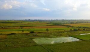 رفع تصرف ۵۰ هکتار از اراضی کشاورزی دزفول