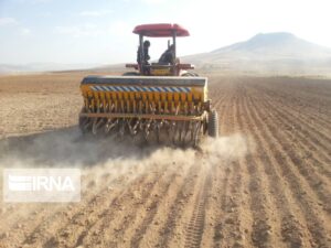 کشت پاییزی گندم در۵۶۷ هزارهکتار از زمین‌های کشاورزی خوزستان شروع شد