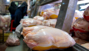 قیمت مرغ امروز ۲۱ آبان ۱۴۰۱/ قیمت مرغ تا ۲ ماه آینده افزایشی می‌شود