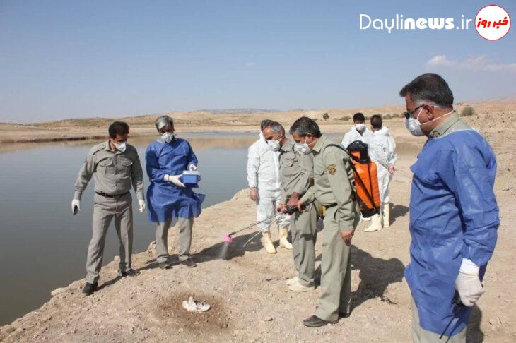 پایش آنفلوآنزای فوق حاد پرندگان در ایستگاههای آبزی خوزستان