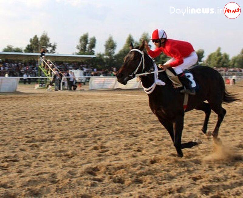 با دستور دیوان عدالت، حکم سرپرستی فدراسیون سوارکاری ابطال شد!