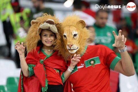 شیرهای مراکشی