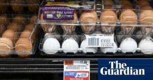 ۱۲ عدد ۱۸ دلار؛ چگونه تخم مرغ‌های آمریکا به طرز عجیبی گران شدند؟