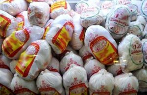 آیا مشکل کمبود مرغ در خوزستان برطرف خواهد شد؟