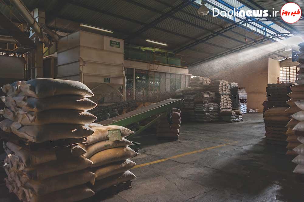 کشف ۹۵ تُن قهوه قاچاق در الیگودرز به ارزش ۲۸۶ میلیارد