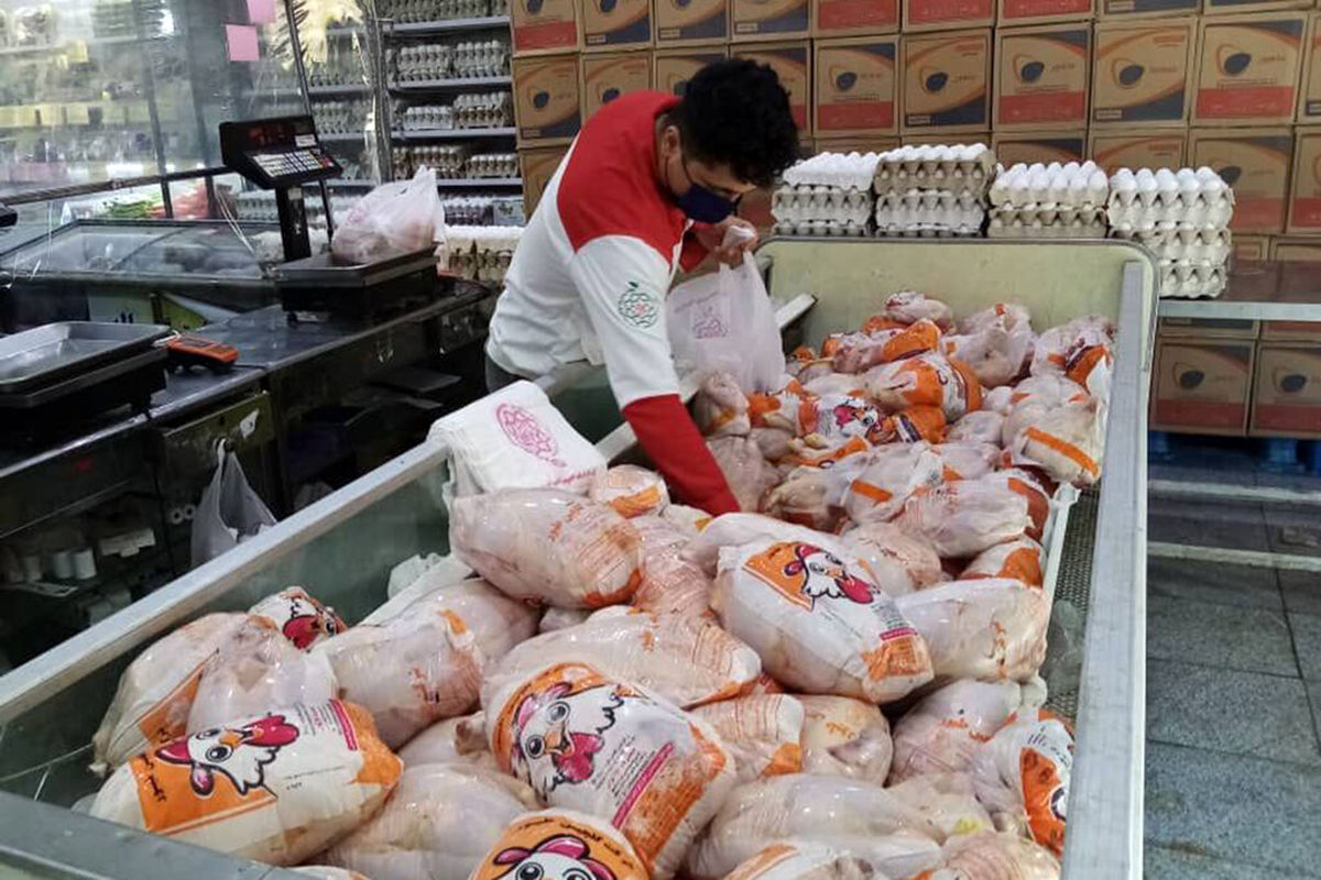 ذخیره‌سازی مرغ منجمد در استان لرستان