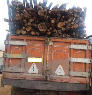 توقیف ۳ کامیون چوب قاچاق در رومشکان