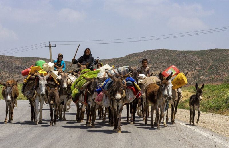 کوچ بهاره بیش از ۱۱ هزار خانوار عشایری لرستان آغاز شد