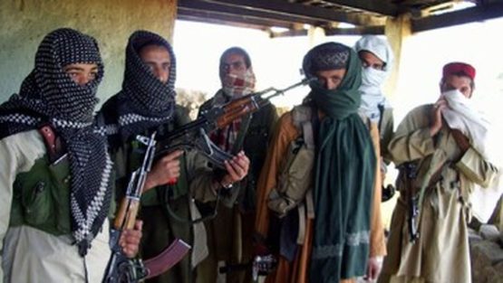 عکس هایی که دروغ طالبان درباره هیرمند را رو کردند