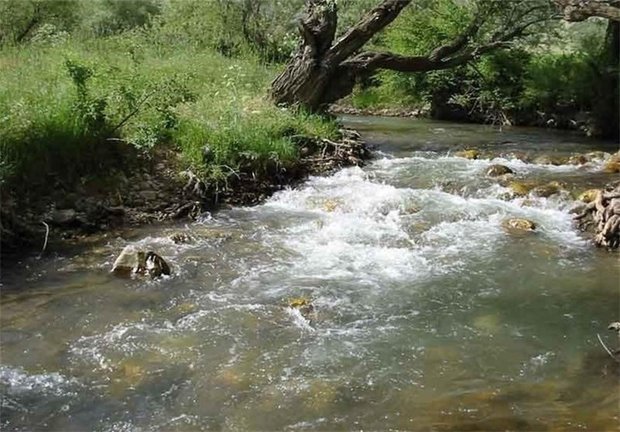 VIDEO: Kahman green nature in Lorestan Province