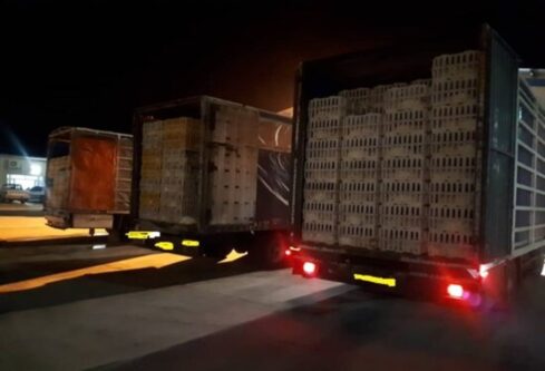 توقیف ۸ کامیون حامل ۱۰ هزار قطعه مرغ زنده خارج از شبکه توزیع در بروجرد