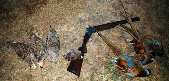 محکومیت شکارچی حرفه ای پرندگان  به ۶ ماه حبس تعزیری در لرستان