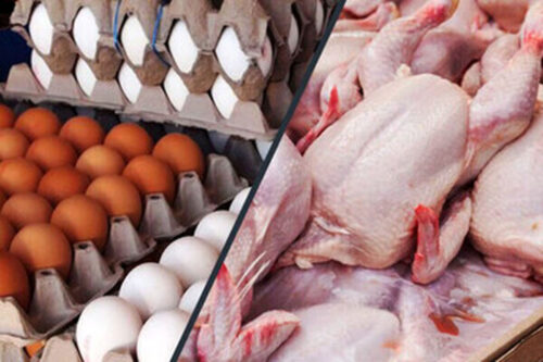 هر کیلو مرغ و یک شانه تخم مرغ چند شد؟