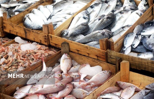 Fisheries, aquaculture products trade register $54m surplus