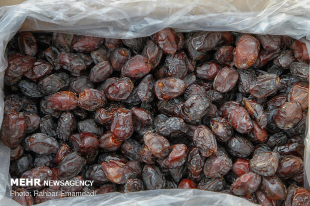 Iran second-biggest global date producer