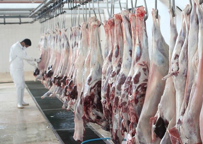 کشتارگاههای دام لرستان در ایام تاسوعا و عاشورای حسینی فعال هستند