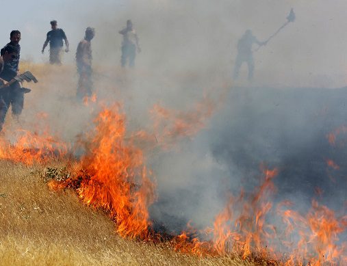دستگیری عاملان آتش سوزی مزارع کشاورزی در خرم آباد