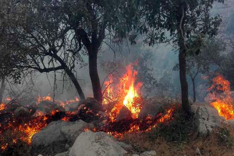 آتش سوزی ۱۰۰ هکتار از مراتع ازنا