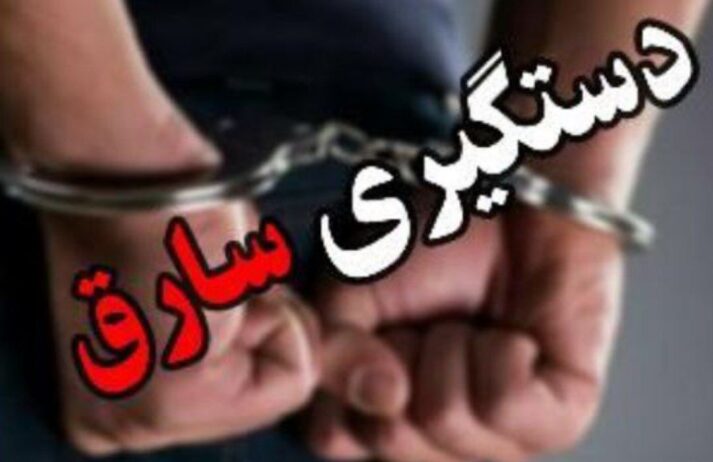 سارق حرفه ای با ۱۰ فقره سرقت در دام پلیس مراغه