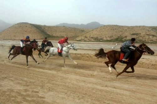 تصویب و تامین اعتبار چندین پروژه ورزشی در حوزه انتخابیه و رفع مشکل سوارکاران استان خوزستان