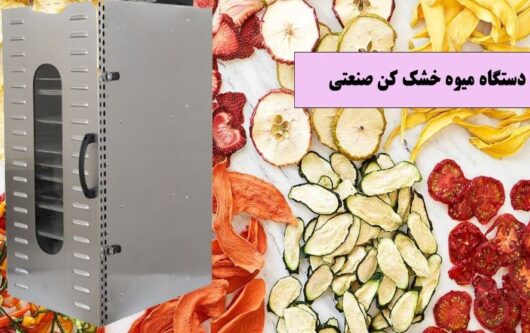 مزایای میوه خشک کن صنعتی در تولید