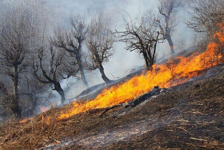 اطفای حریق در منطقه حفاظت شده هفت شهیدان مسجدسلیمان