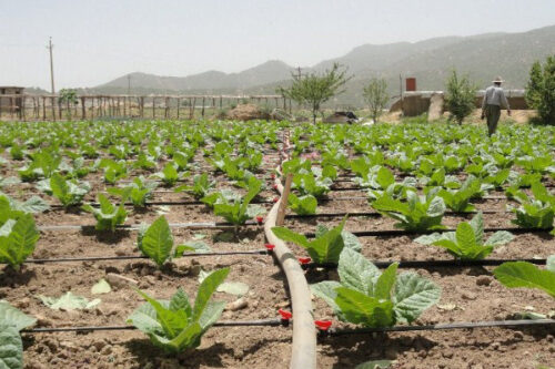 شناسایی ۸۵۰ انشعاب غیرمجاز آب در لرستان