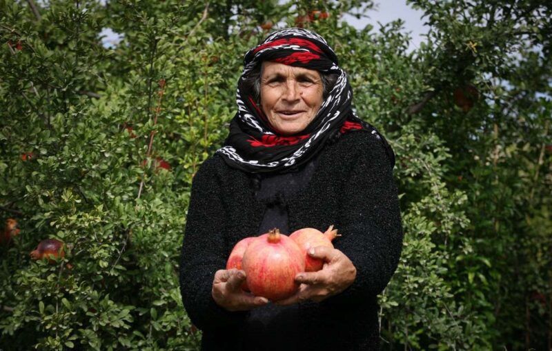 ثبت جشنواره انار لرستان در تقویم رویدادهای گردشگری کشور